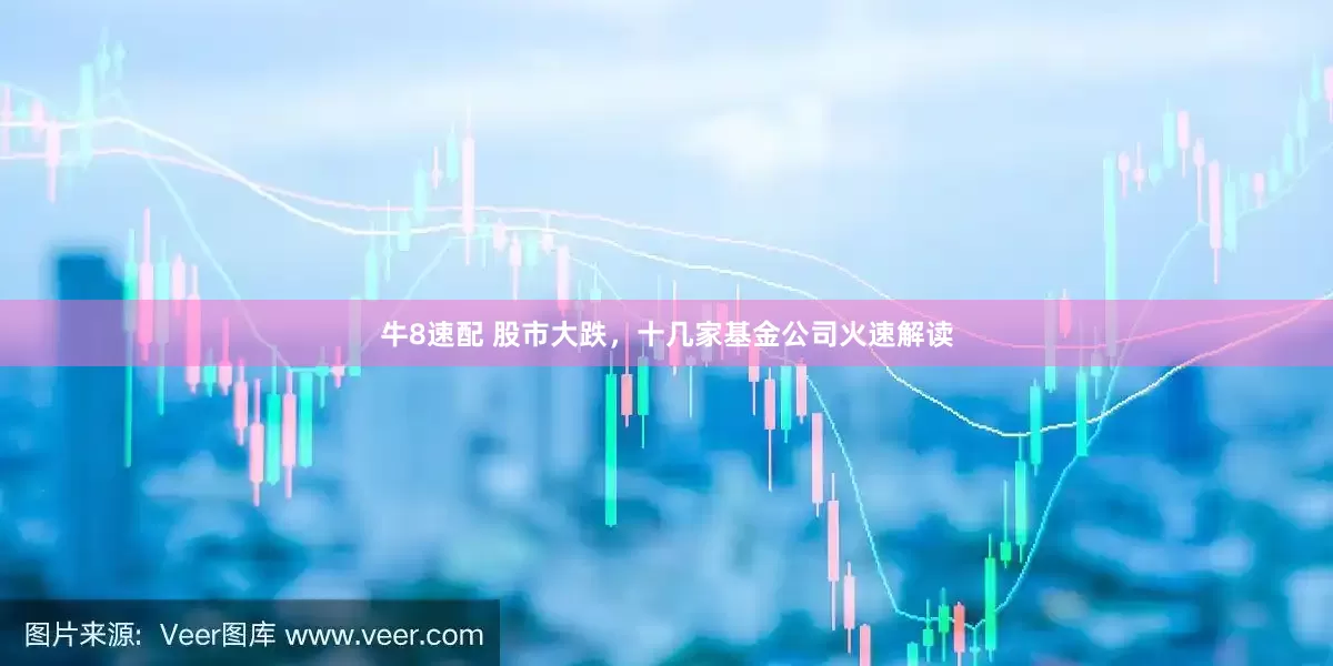牛8速配 股市大跌，十几家基金公司火速解读